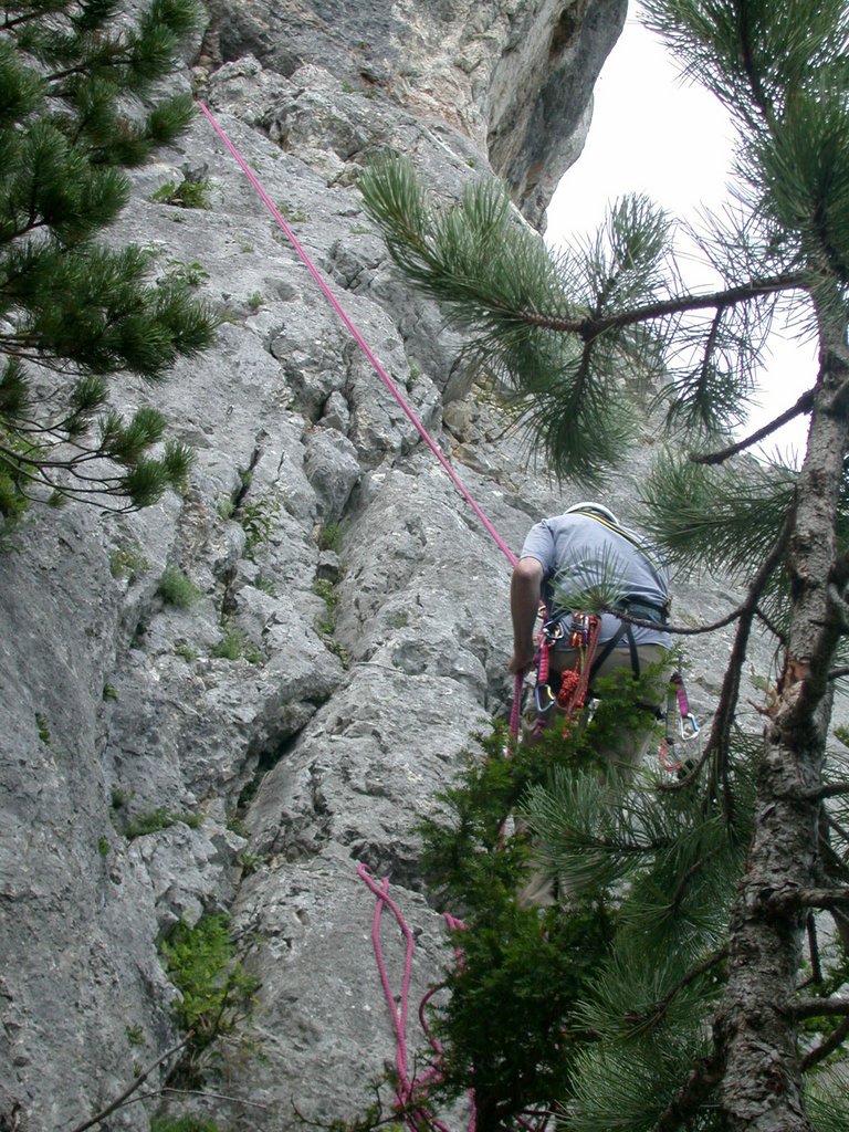 DSCN6350.JPG