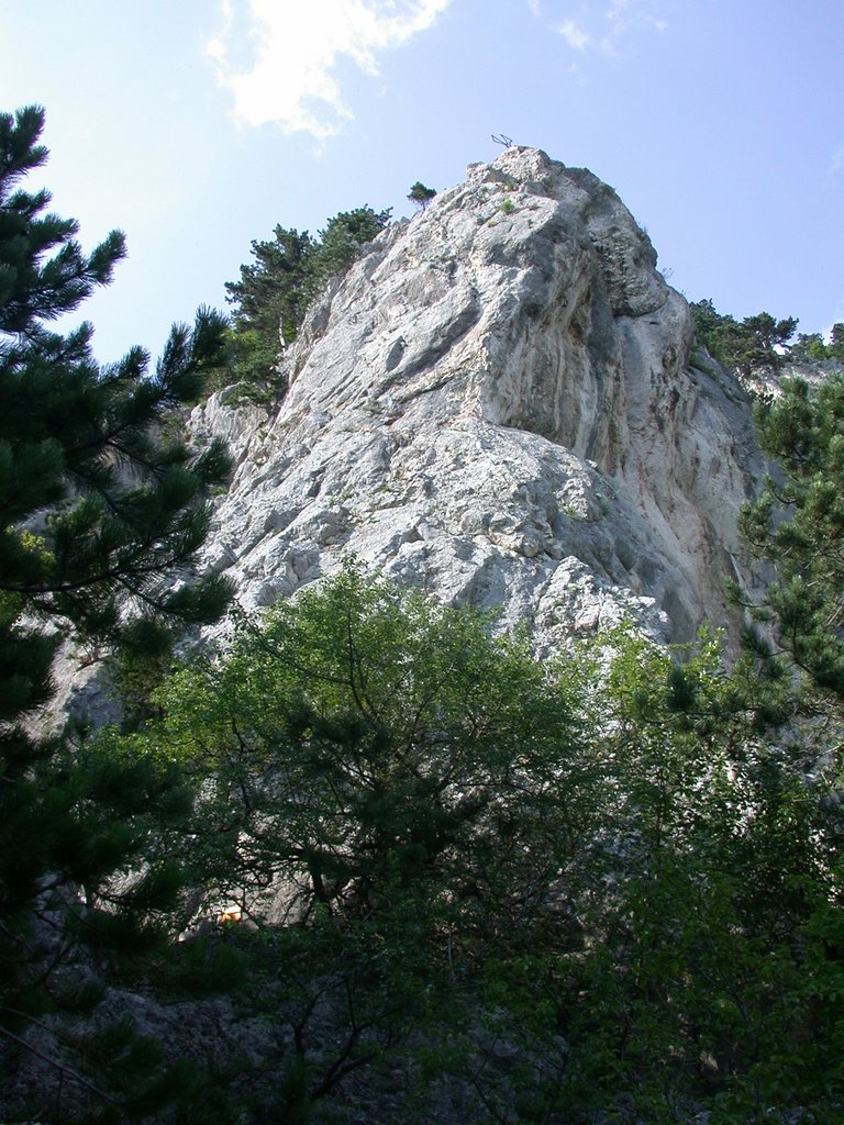 DSCN6364.JPG