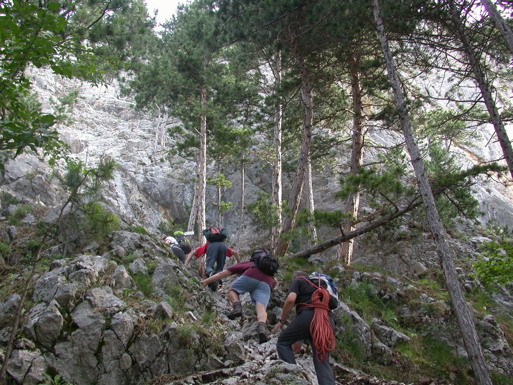 DSCN6368.JPG