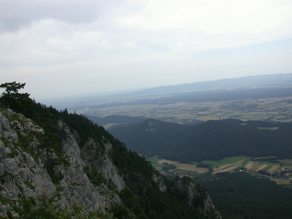 DSCN6375.JPG