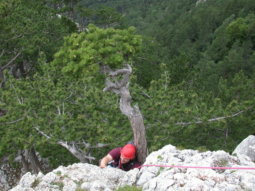 DSCN6377.JPG