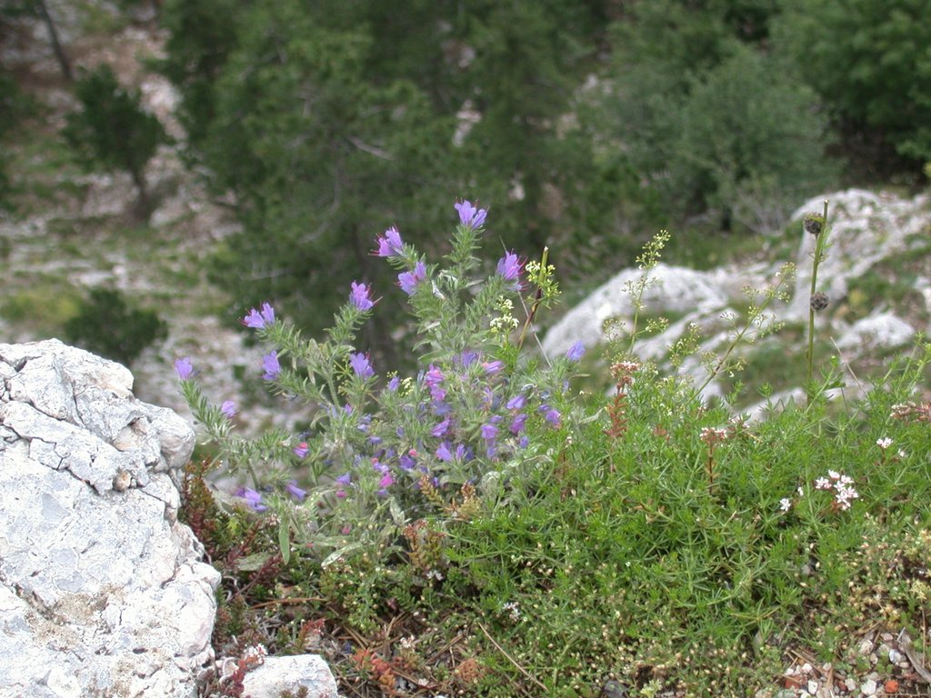 DSCN6388.JPG