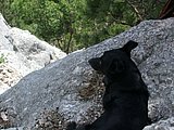 DSCN6327.JPG