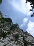 DSCN6343.JPG