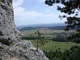 DSCN6345.JPG