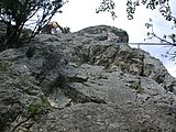 DSCN6347.JPG