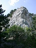 DSCN6364.JPG