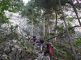 DSCN6368.JPG