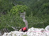 DSCN6377.JPG