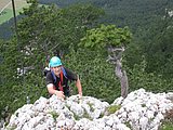 DSCN6386.JPG