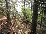 P5230004.JPG