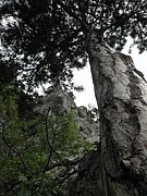 P5230009.JPG