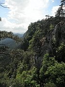 P5230053.JPG