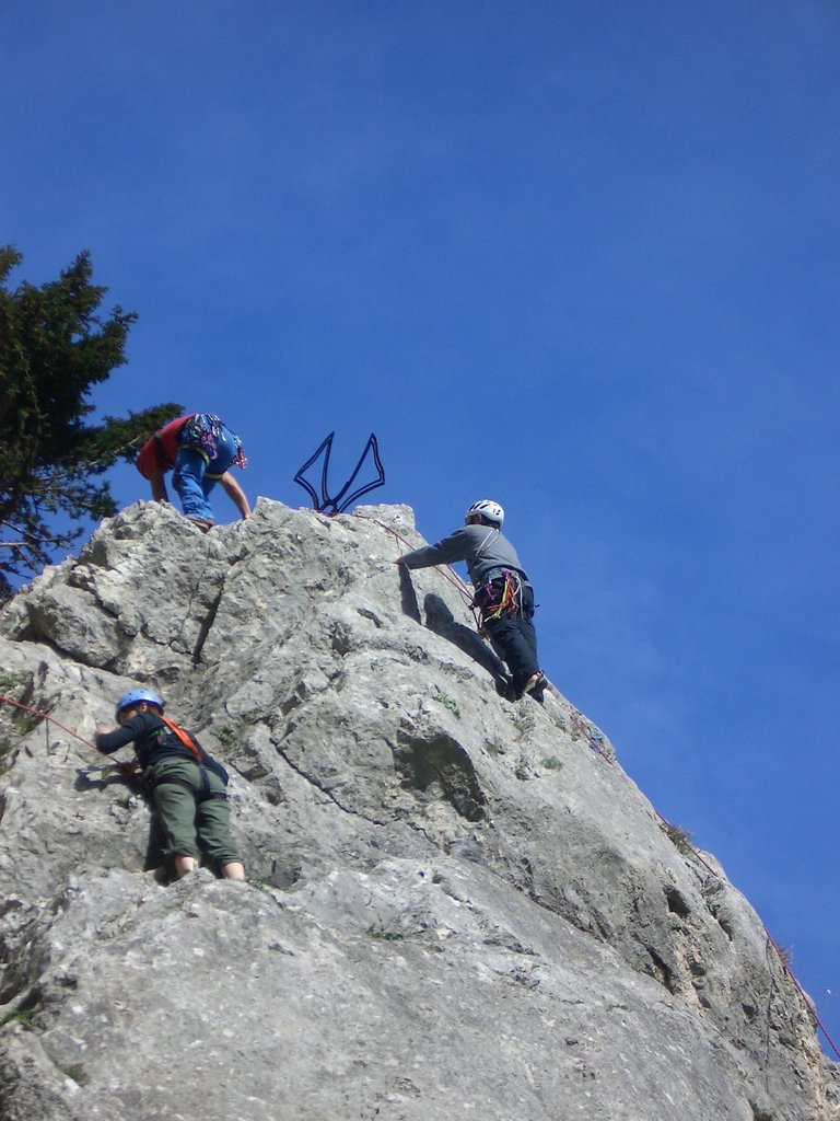 CIMG2315.JPG