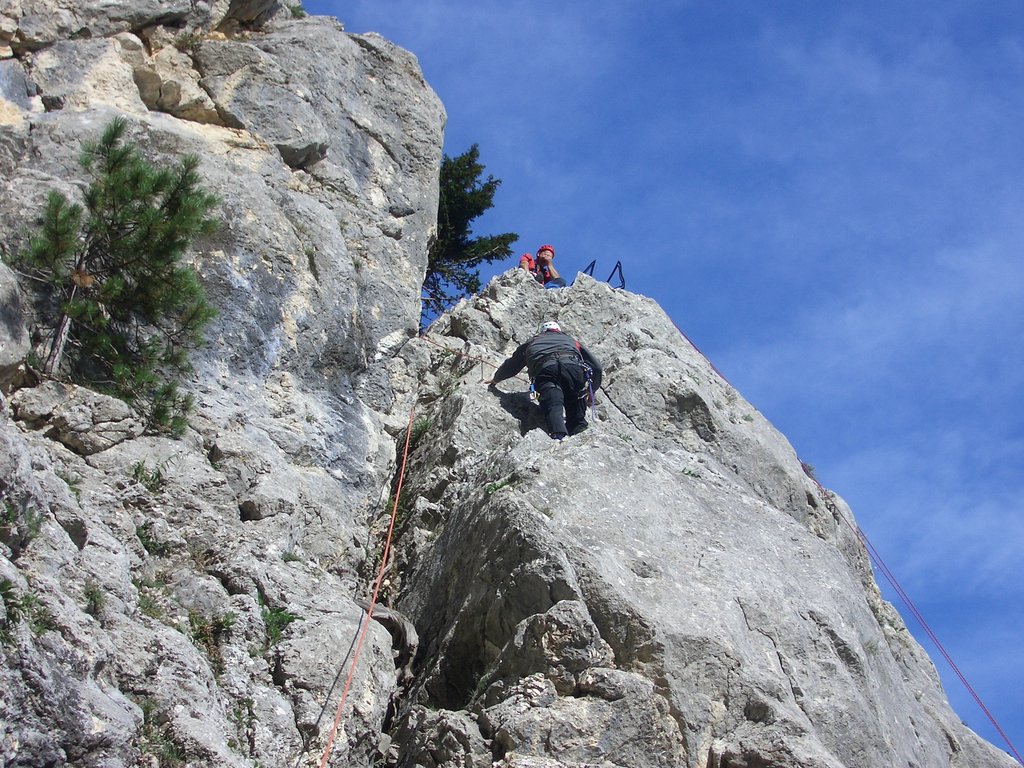CIMG2337.JPG