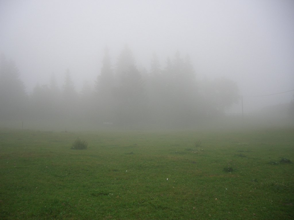 CIMG2348.JPG
