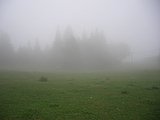 CIMG2348.JPG