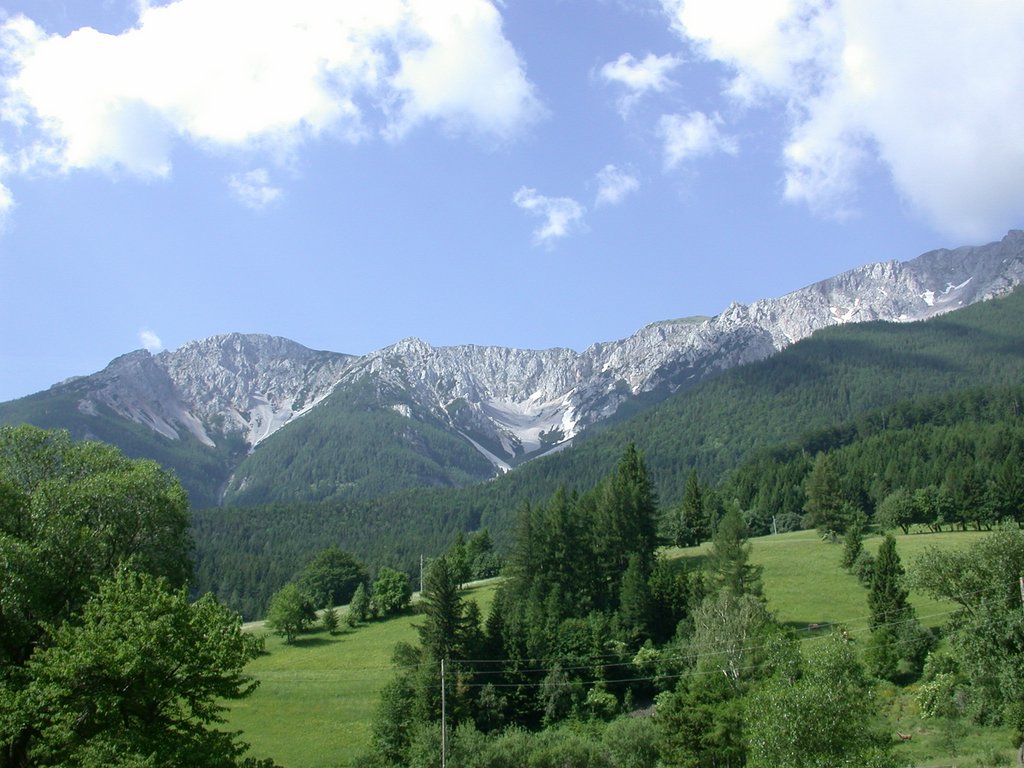 DSCN6020.JPG