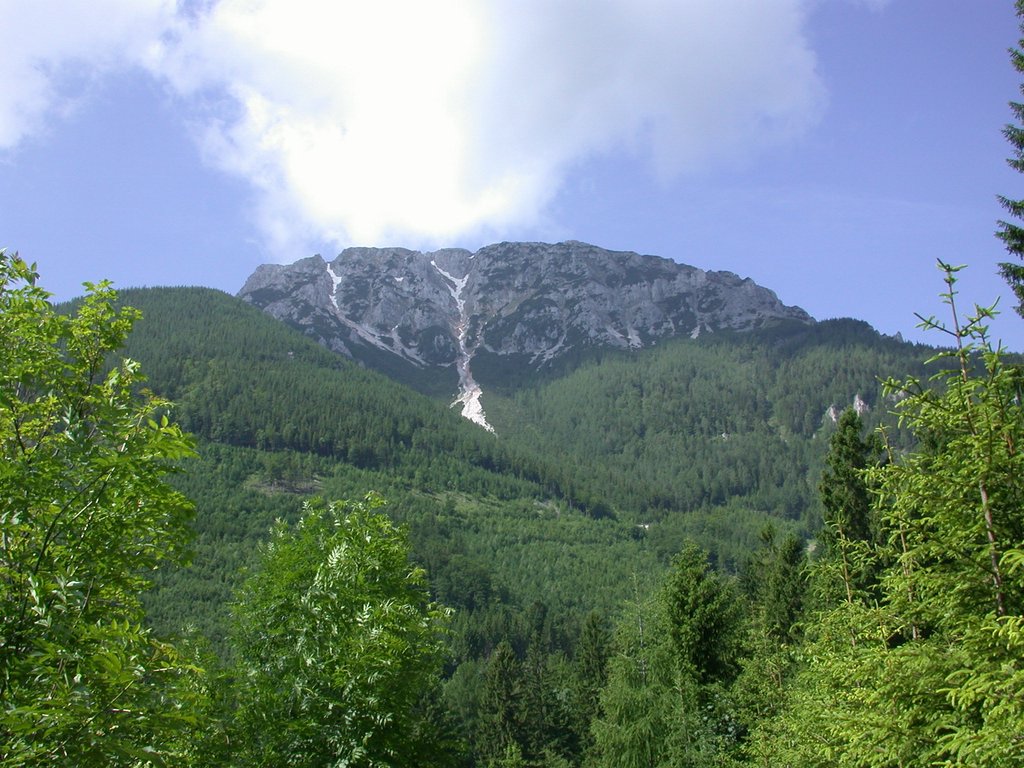 DSCN6025.JPG