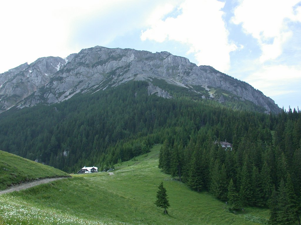 DSCN6029.JPG