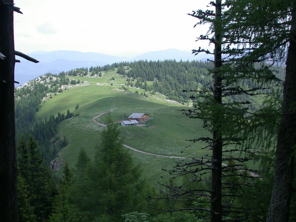 DSCN6034.JPG