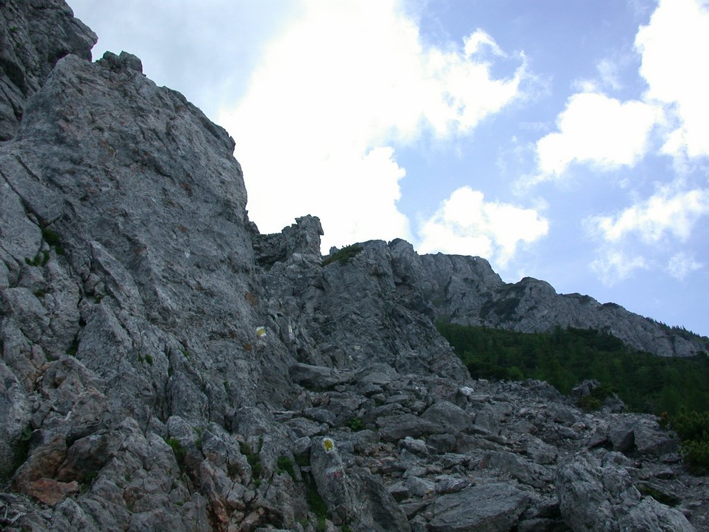DSCN6035.JPG
