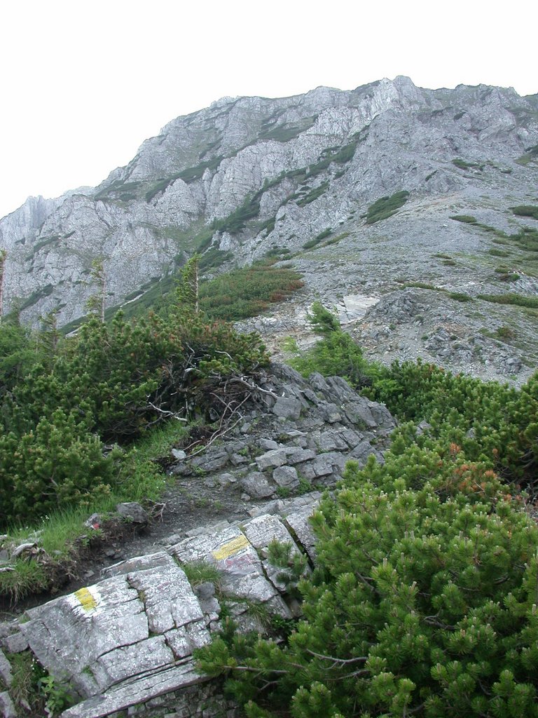 DSCN6037.JPG