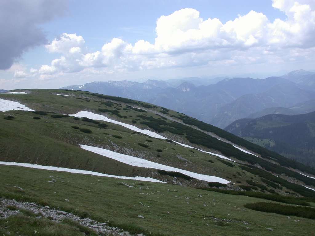 DSCN6040.JPG