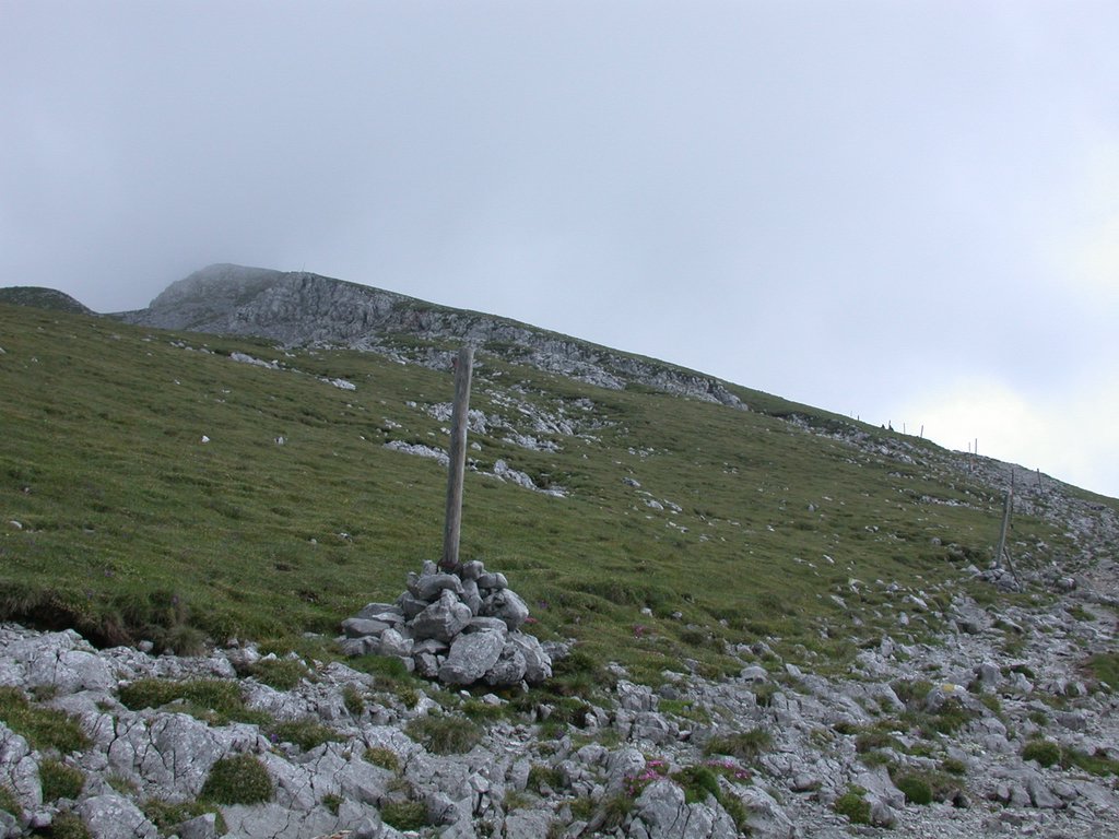 DSCN6071.JPG