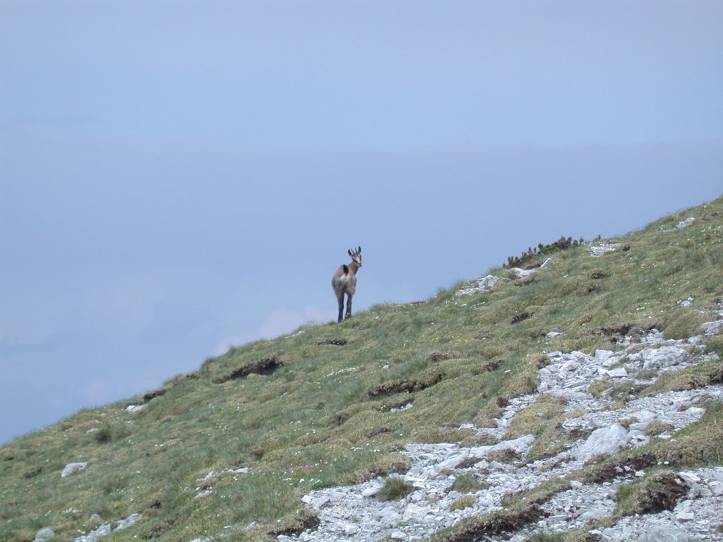 DSCN6076.JPG