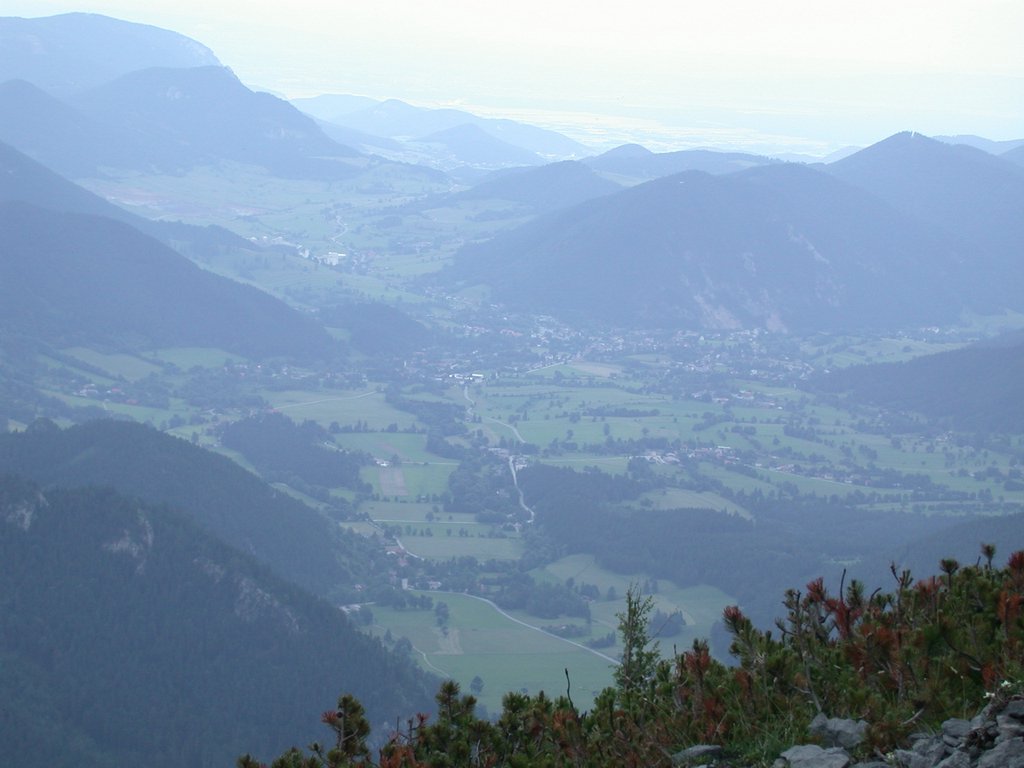 DSCN6096.JPG