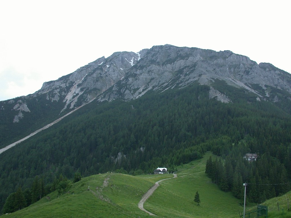 DSCN6105.JPG