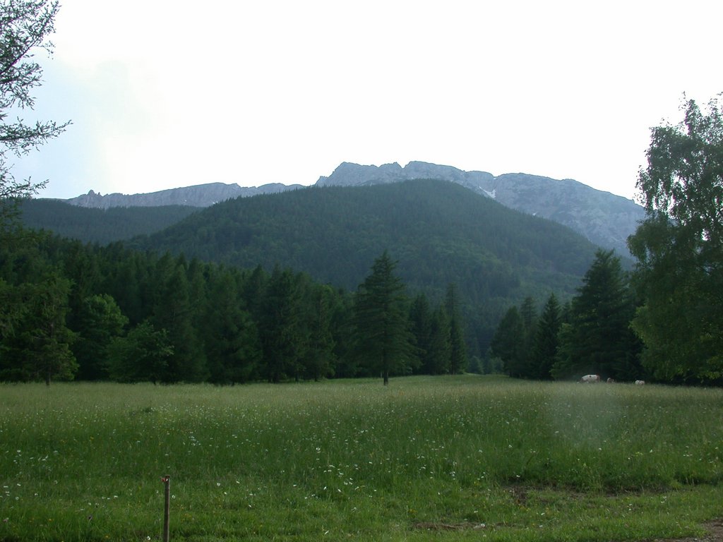 DSCN6111.JPG