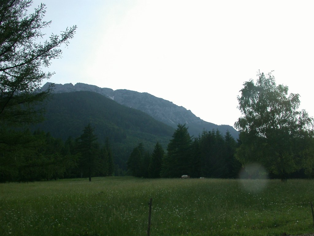 DSCN6112.JPG