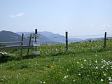 DSCN6026.JPG