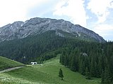 DSCN6029.JPG