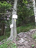 DSCN6032.JPG