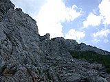 DSCN6035.JPG