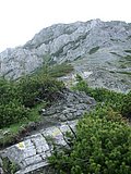 DSCN6037.JPG