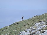 DSCN6076.JPG