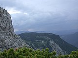 DSCN6081.JPG
