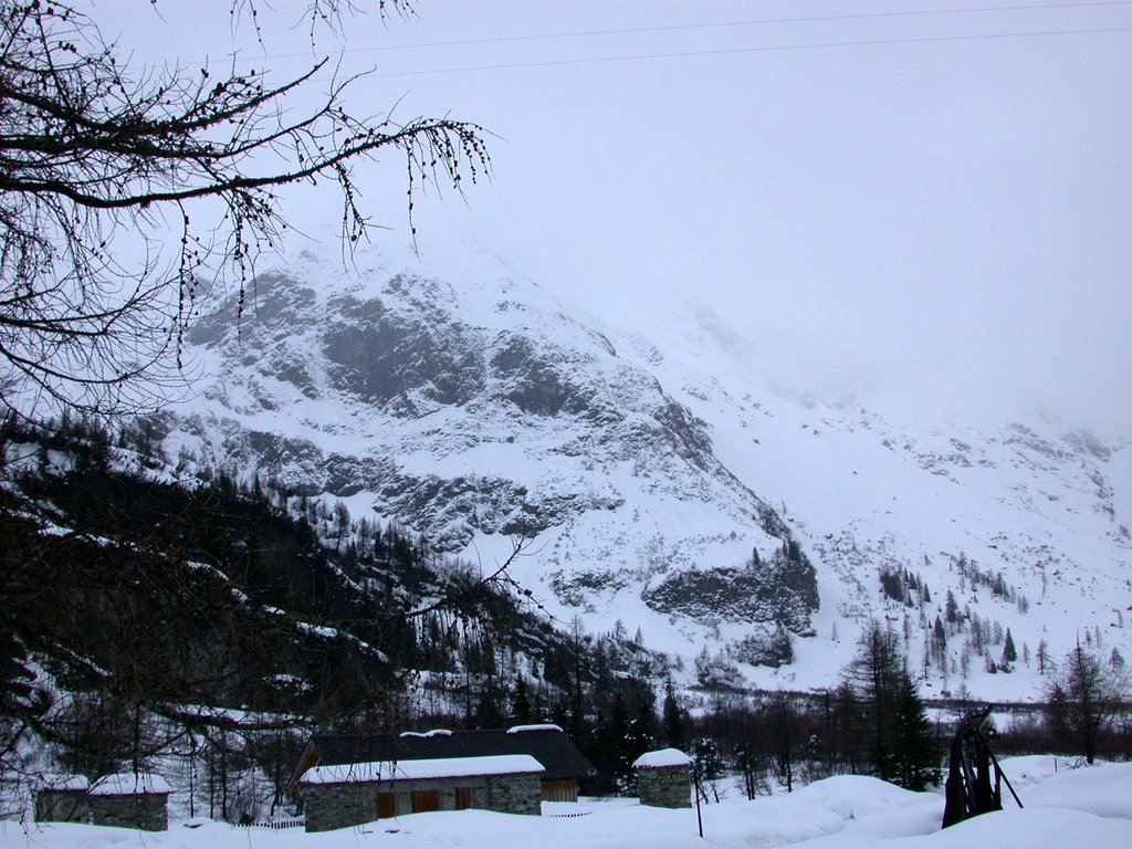 DSCN4794.JPG