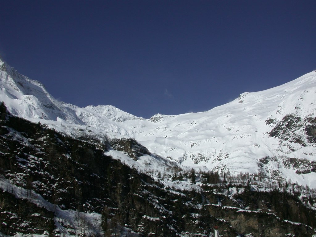 DSCN4817.JPG