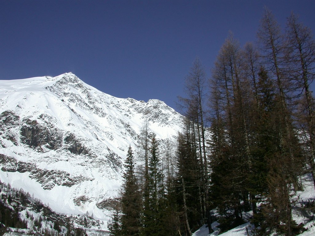 DSCN4819.JPG