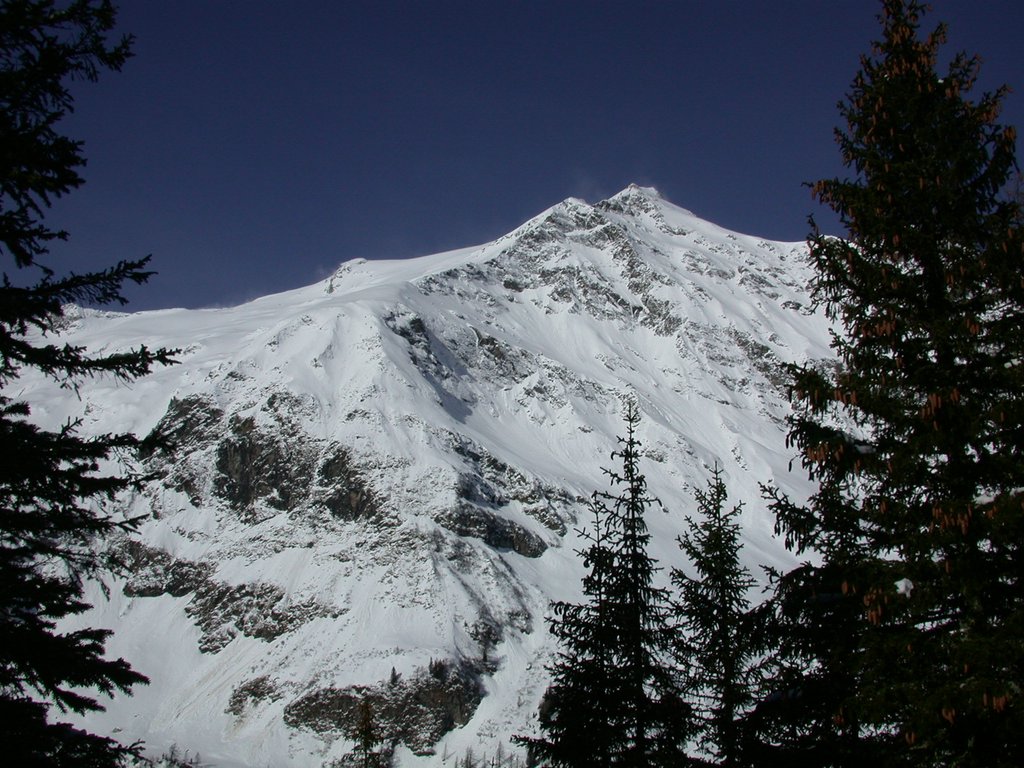 DSCN4823.JPG