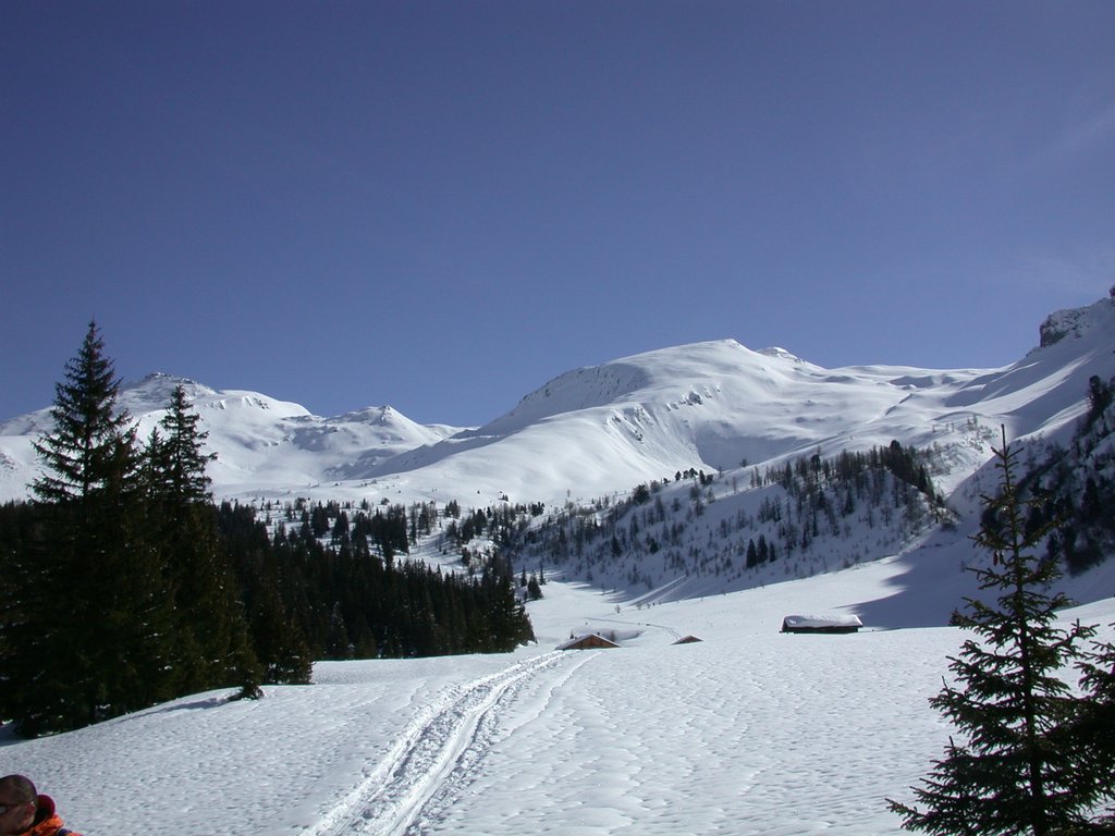 DSCN4830.JPG