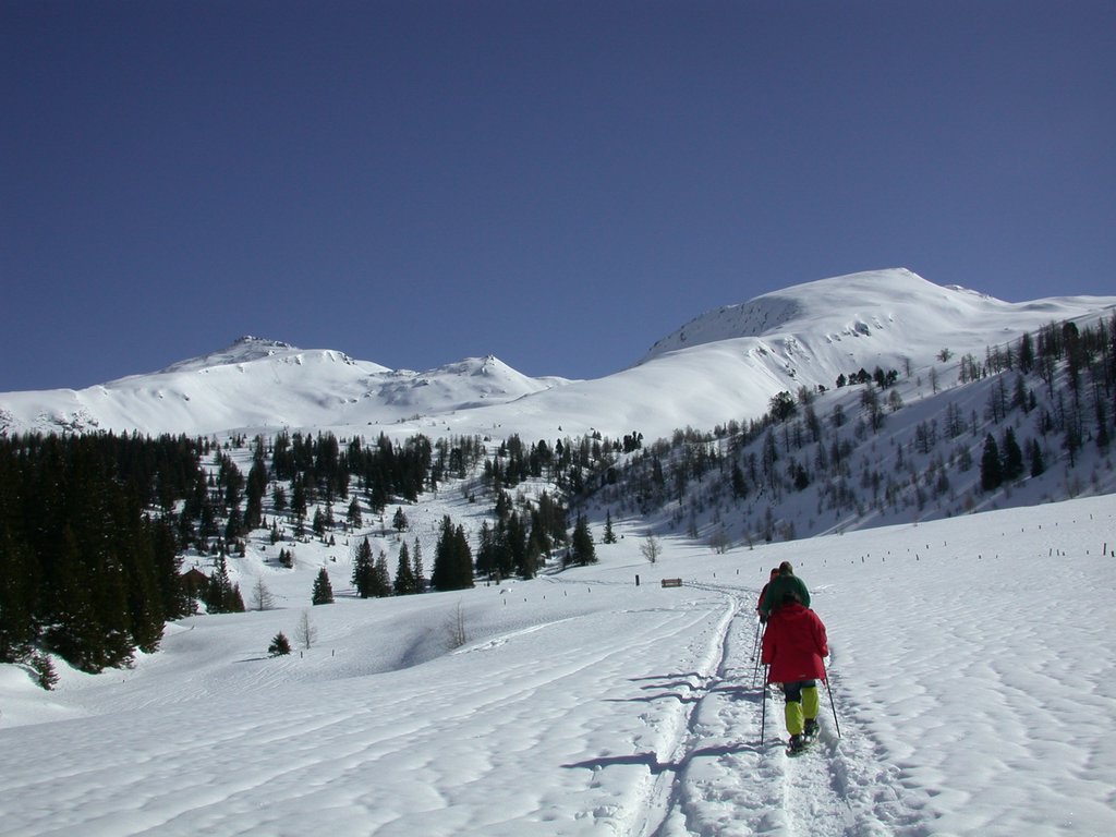 DSCN4839.JPG