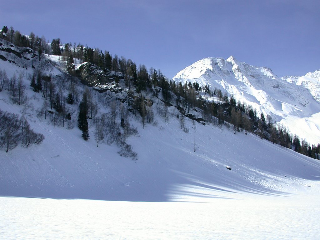 DSCN4840.JPG