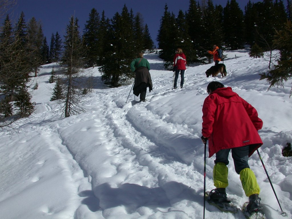DSCN4844.JPG
