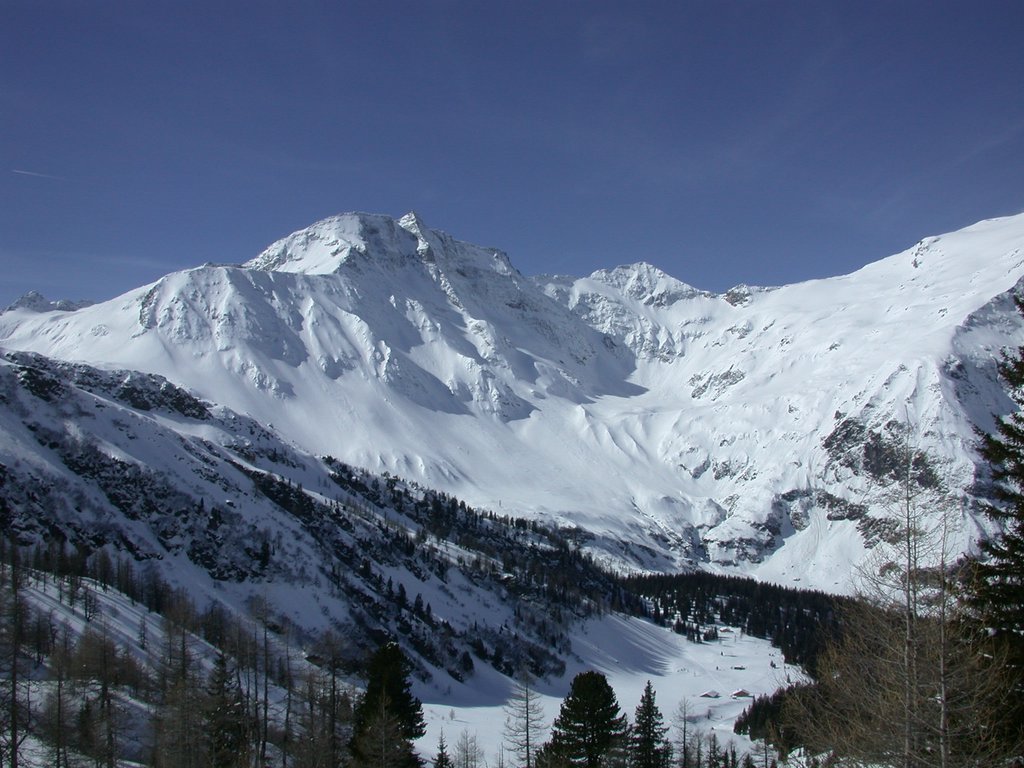 DSCN4856.JPG